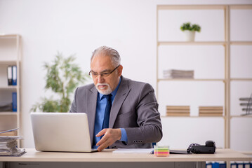 Old male employee working at workplace