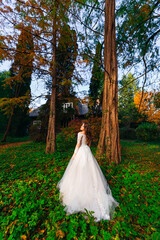 Fototapeta premium beautiful bride in a chic dress in the autumn park