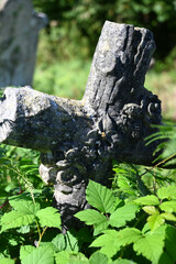 Fototapeta na wymiar Vintage stone Cross at old cemetery