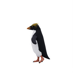 Erect crested penguin isolated