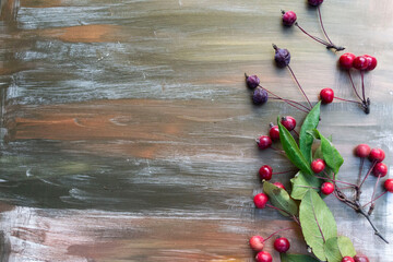 berries on a wooden background