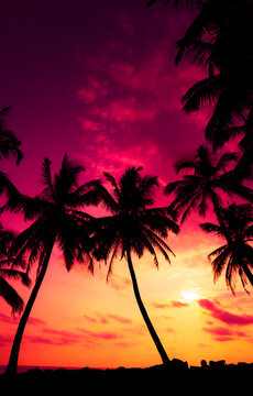 Tropical coconut palm trees on ocean beach at colorful sunset