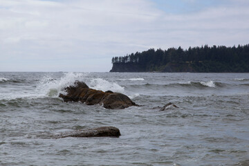 Obraz premium Washington beach