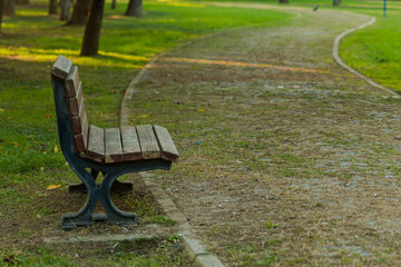 Empty bench in the autumnal park with path , rest area away from the noise of the city