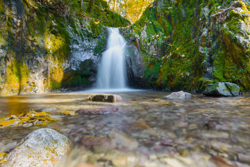Fließender Wasserfall in einer Langzeitbelichtung im Herbst im Schwarzwald