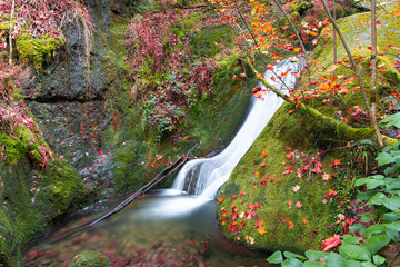 Fließender Wasserfall in einer Langzeitbelichtung im Herbst im Schwarzwald