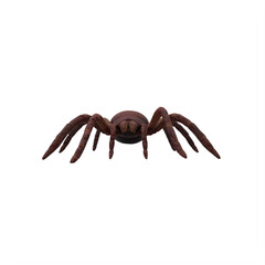 Goliath Birdeater Tarantula on white background Theraphosa blondi