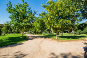 Maravilloso dia de Otoño en el parque del Retiro en Madrid con su famoso lago