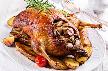 Traditional roasted stuffed Christmas duck with apples and potatoes served as close-up on a classic design plate on a laid table