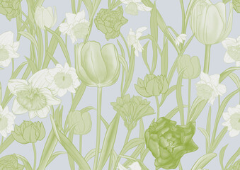 White daffodils and tulips flowers, the early spring flowers. Seamless pattern, background. Vector illustration. In botanical style