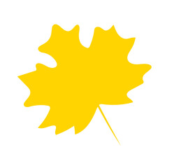 Jesienny liść klonu