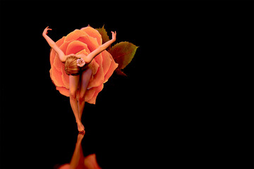 Rose Dancer