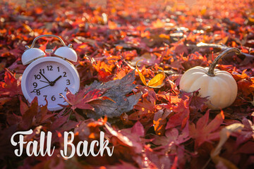 Fall Back text Daylight Saving Time vivid red autumn leaves background in morning light
