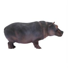 hippopotamus isolated on white