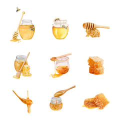 Set of watercolor honey elements. Hand drawn watercolor vector illustration
