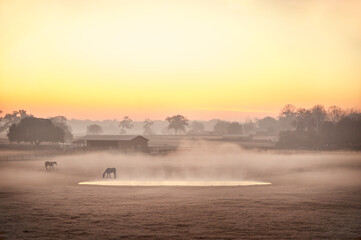 Sunrise over foggy frost covered horse farm pasture and barns, Ocala Florida.