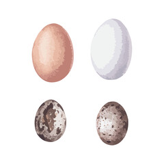 Vector watercolor style illustration of eggs set for breakfast