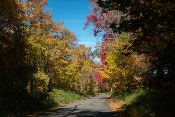 Fototapeta premium Country road in Connecticut Litchfield county with fall color colorful autumn foliage 