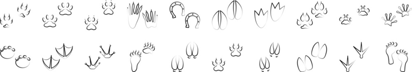 Animal tracks guide icons collection vector illustration design