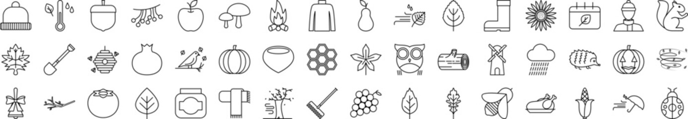 Autumn icons collection vector illustration design