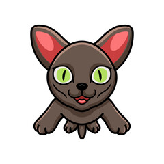 Cute korat cat cartoon flying