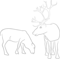 Fototapeta na wymiar Illustration of two reindeers