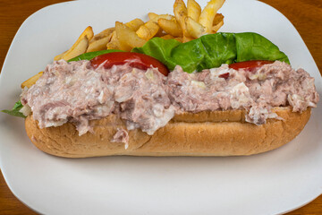 tuna salad sub with a side  of fries