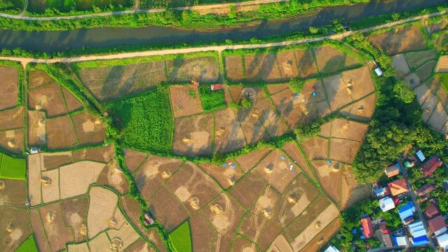 Aerial view over rice fields and villages in Nan Province, Northern Thailand. Agriculture industry in Asia. Green nature background. 4k. drones
