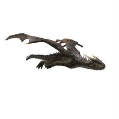 Dragon isolated