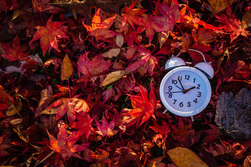 Fall Back Daylight Saving Time vivid red autumn leaves background in morning light