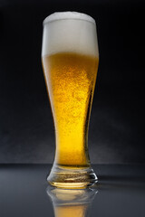 Beer  Cerveza