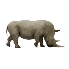 rhino isolated on white