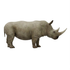 Fototapeta premium rhino isolated on white