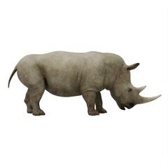 Obraz premium rhino isolated on white