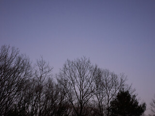 Obraz premium Trees and sky during dusk in pennsylvania