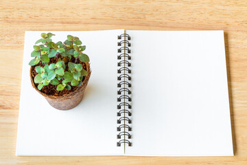 Blank notebook paper with little plants in eco pot on a wooden table. picture used for add text or education message. green fresh. white note with pencil.