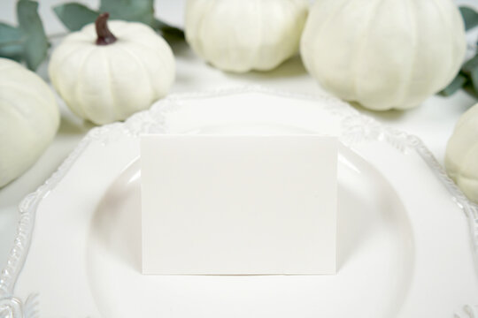 Fall Thanksgiving Dinner Product Mockup. Blank dinner 2.5 x 3.5 place card mock up on vintage plates styled with white pumpkins on minimalist background.