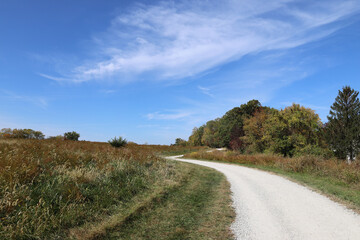 Fototapeta na wymiar Empty Path through Autumn Meadow