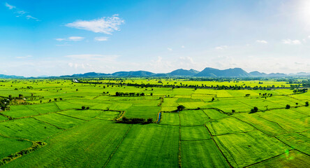 Land plot in aerial view. Include landscape, real estate, green field © jittawit.21