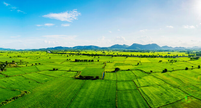 Land plot in aerial view. Include landscape, real estate, green field