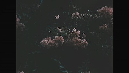 Duke Gardens Flora 1959 - Flora and Fauna at the Duke of Terceira Gardens