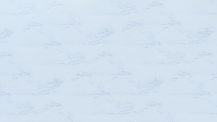 marble texture white background