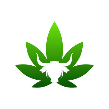 a logo illustration of a combination of marijuana leaves and buffalo head