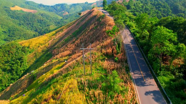 Drone fly over "Loi Fah Road", It is a beautiful country road and a famous tourist attraction. Nan, Thailand. high agricultural areas and tropical forest. green background in sunlight. travel concept
