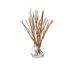 Dried sesame branches tree