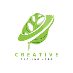 Monstera adansonii Leaf Logo, Green Plant Vector, Tree Vector, Rare Leaf Illustration