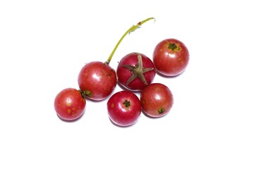 Fototapeta na wymiar white background photo red wild fruit