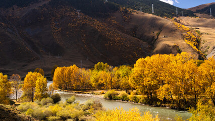 autumn landscape in the mountains