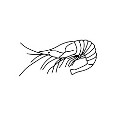 Fototapeta premium Vector shrimp isolated on white background. Hand drawn outline doodle illustration ocean or underwater animal