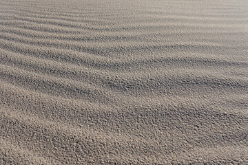 鳥取砂丘の砂紋